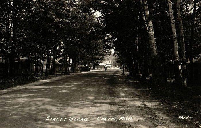 Curtis - Vintage Postcard (newer photo)